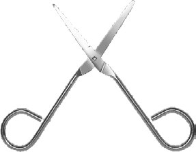 Disposable Sharp/Blunt Tip Scissors